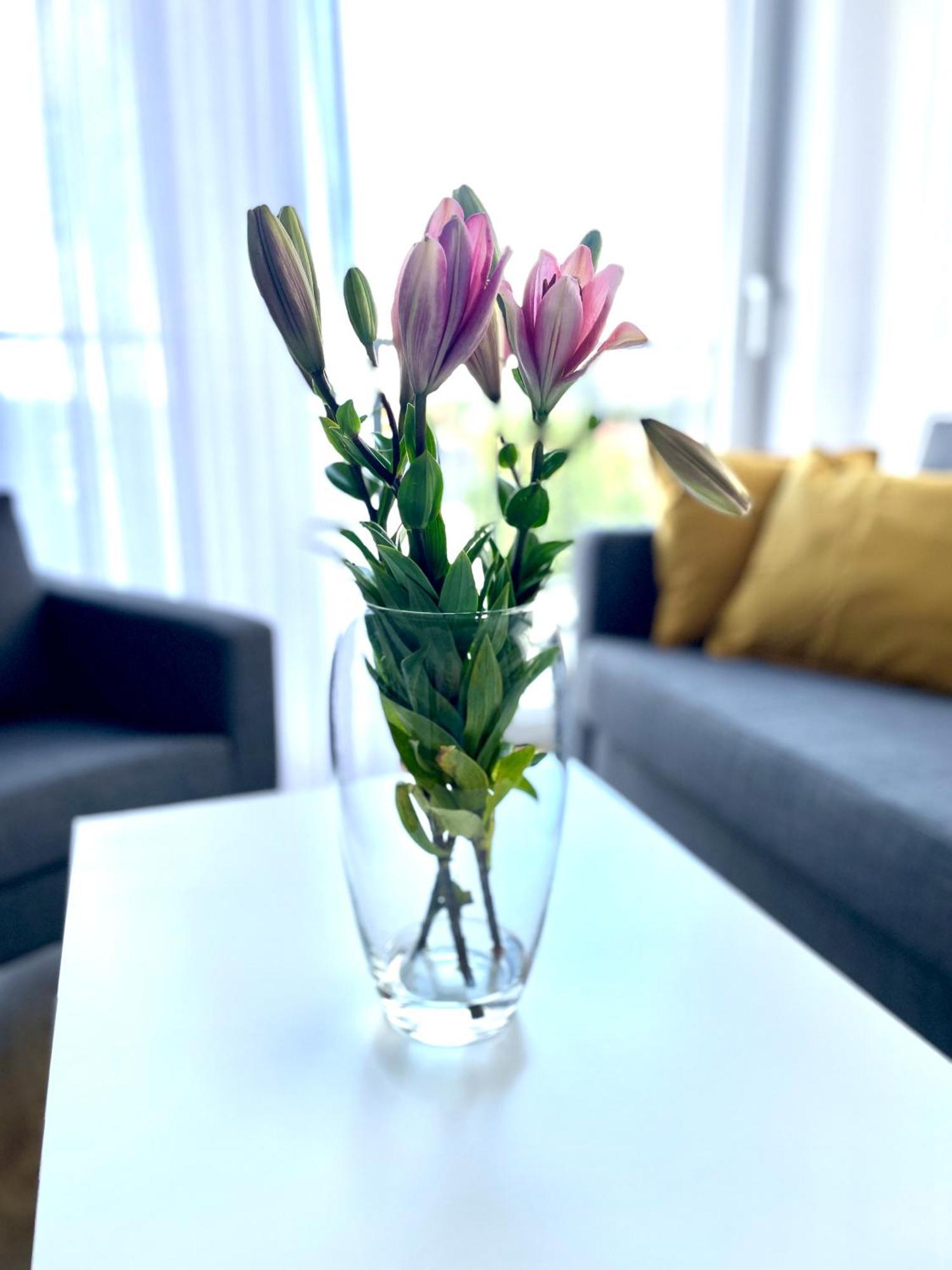 Sonja Apartment ซาตอร์ ภายนอก รูปภาพ